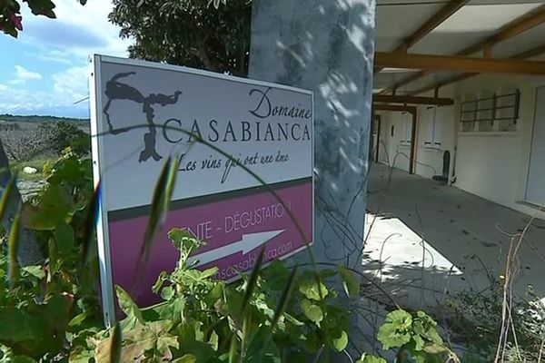 Près de 260 hectares du domaine Casabianca, abandonné depuis 2016, vont être redistribués à de jeunes agriculteurs.