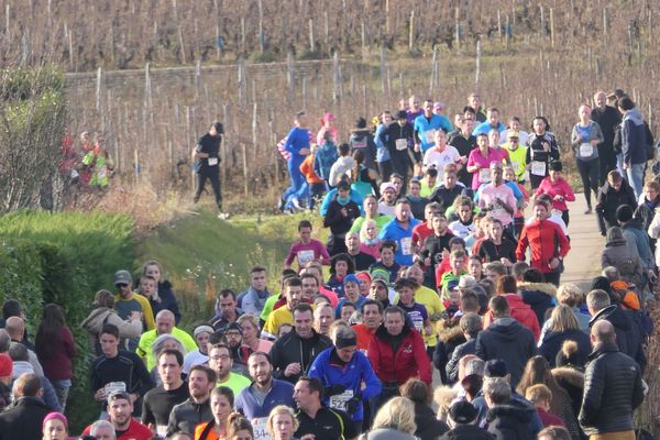 L'édition 2016 du semi-marathon