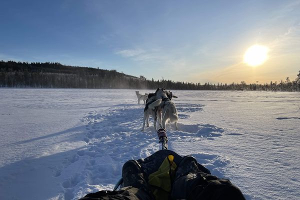 Arnaud Lauqué vous entraîne en traineau tiré par les hushers sur les pistes de la Laponie suédoise.