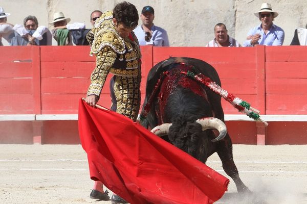 Ce jeudi àgrenade : la Tarasque dans les rues et "le monstre" dans les arènes.