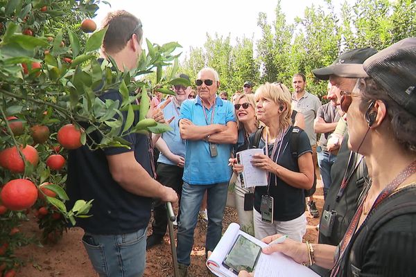 La chambre d'agriculture de Haute-Corse a organisé un voyage d'étude en Israël.