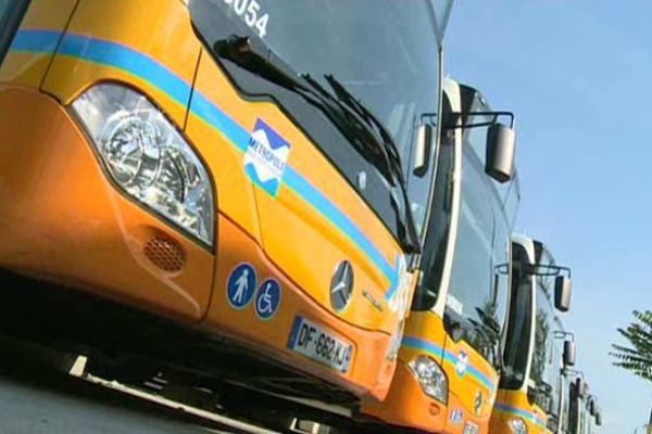 Une partie des bus de la société Ligne d'Azur restent encore à l'arrêt