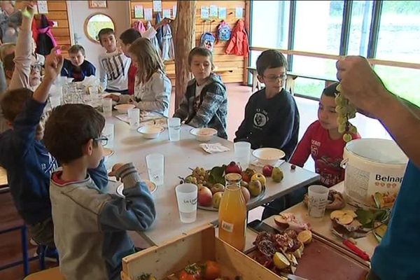 Au Collet-de-Dèze (Lozère), les écoliers s'initient aux saveurs de fruits oubliés