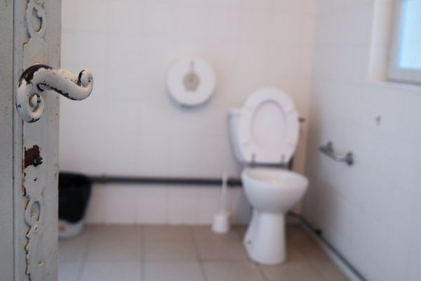 La cuvette de WC dans l'escalier et les pieds de cannabis dans l'appartement