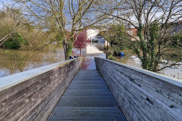 À Nouâtre, l'eau dépasse les 8 mètres 50 à 10h, dimanche 31 mars 2024.