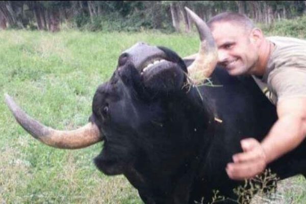 Denis Sanchez avec l'un de ses taureaux de combat.