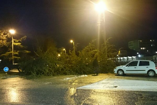 Un arbre est tombé sur un rond point à cause du vent à Gap.