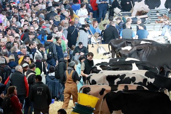 la dernière journée du salon de l'Agriculture est annulée à cause de l'épidémie de Coronavirus Covid-19.