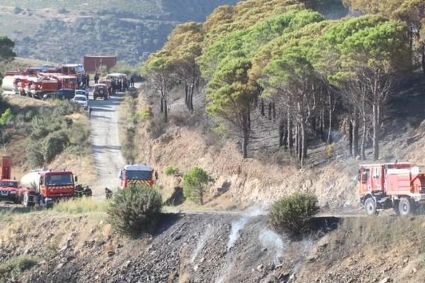 Intervention des pompiers pour contenir le feu sur la commune de Cerbère, dans les Pyrénées-Orientales. 18 septembre 2015