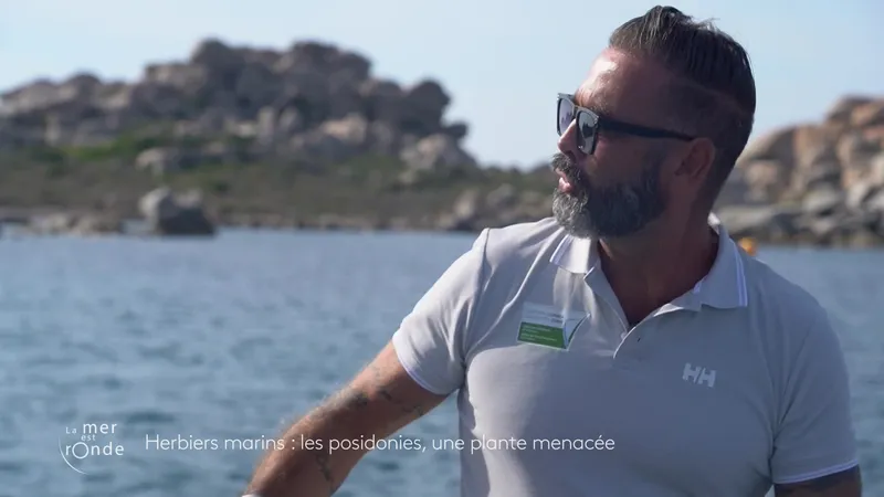 Chaque, été, les agents du Parc naturel régional de la Corse opèrent des contrôles en mer pour vérifier le respect des règles de mouillage des bateaux hors des zones protégées.