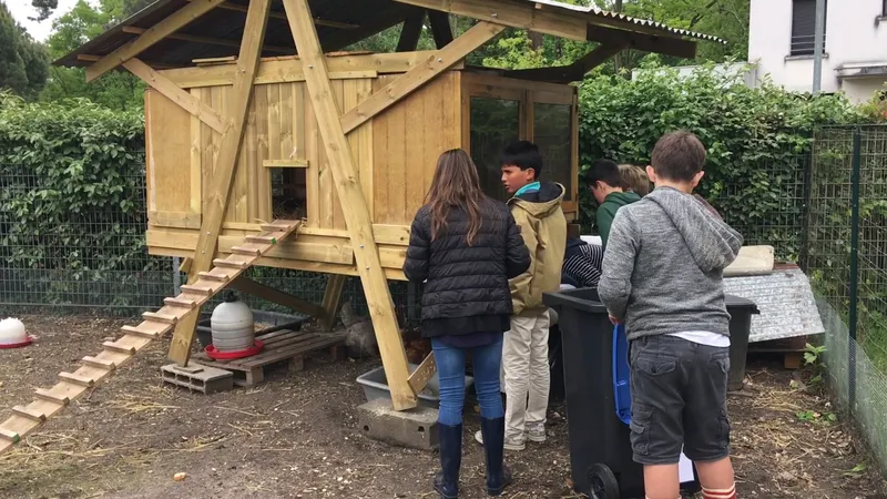 Cantine scolaire - Bauzy