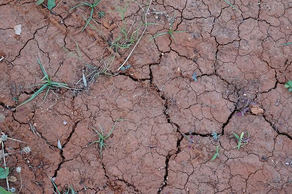 Les pluies n'ont pas été suffisantes en juillet dans le Cantal