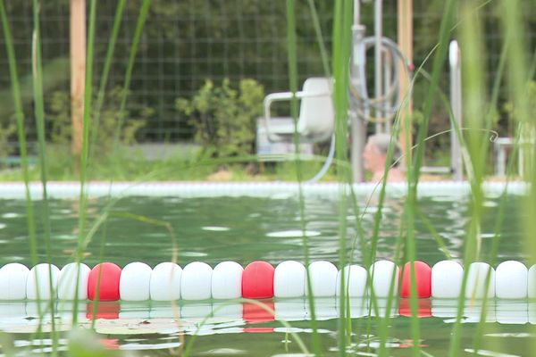 La piscine municipale de Montignac en Dordogne est bordée de plantes dont le rôle est de filtrer l'eau en captant les germes.