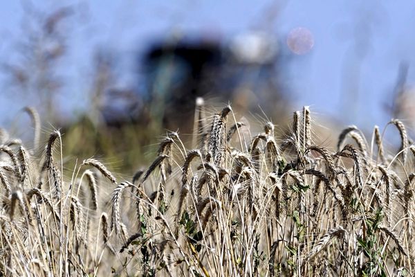 En Auvergne Pas Facile De Transmettre Une Exploitation Agricole 5928