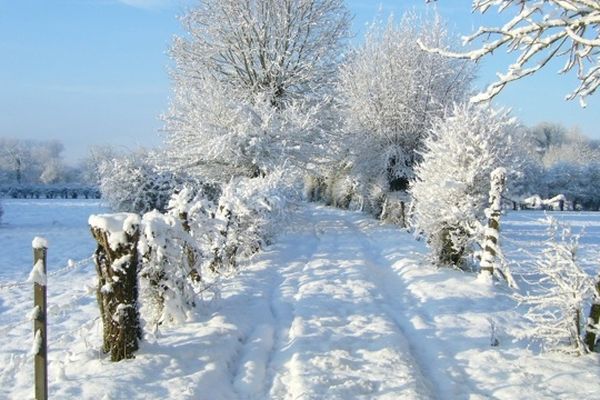 Neige à Delettes (62). 