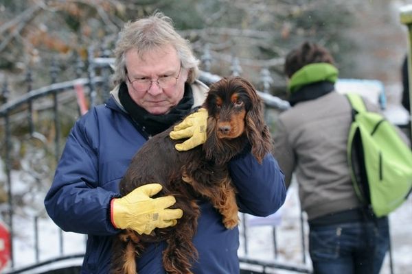 Peyrat-le-Château : Un membre de la Fondation Assistance aux Animaux emporte un cocker qu'il vient de retrouver dans un élevage à Peyrat-le-Château où une centaine de chiens étaient détenus dans des conditions déplorables, le 17 décembre 2010.