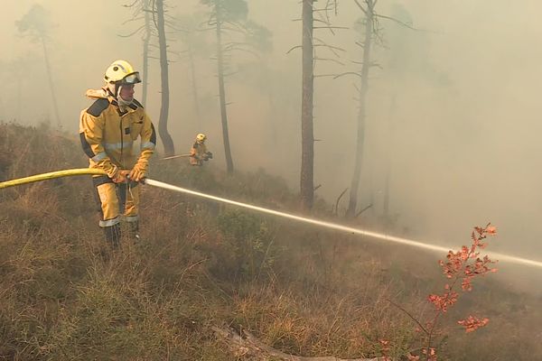 Deux incendies se sont déclarés cette semaine dans les forêts des Alpes-Maritimes, comme ici, à Gorbio.