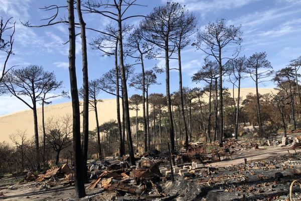 Novembre 2022, les traces de l'incendie qui a ravagé les campings au pied de la dune du Pilat en Gironde. Les mégafeux et le défi à relever pour demain au cœur de l'émission spéciale de France 3 Aquitaine, présentée par Sandrine Papin