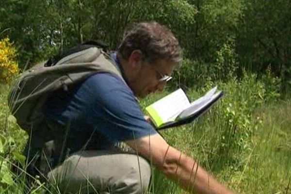 Laurent Chabrol, le responsable de l'antenne du Limousin du Conservatoire botanique national du Massif Central a participé au recensement