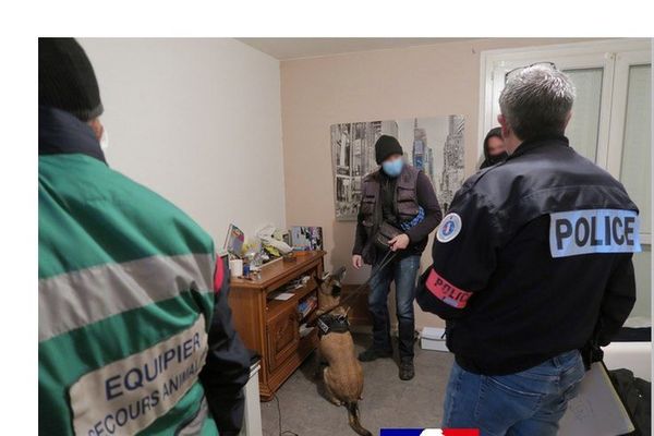 Une soixantaine de policiers et une cinquantaine de gendarmes drômois, assistés de 4 équipes cynophiles sont intervenus dans plusieurs communes de la Drôme