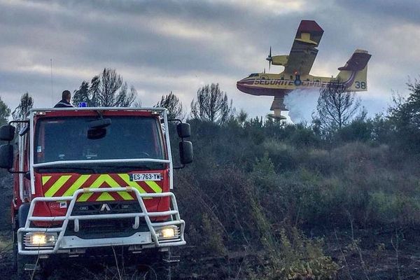 Galargues (Hérault) - les pompiers luttent contre un incendie de pinède, 100 hectares déjà brûlés - 15 juillet 2019.