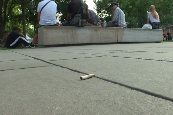 Jets de mégots, déjection canines, dépôt d'ordures laissées à même le sol, ne sont pas rares à Toulouse. Ces invicilités sont guettées par une brigade créée il ya 5 ans par la mairie.