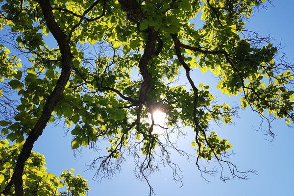 Le soleil est très généreux