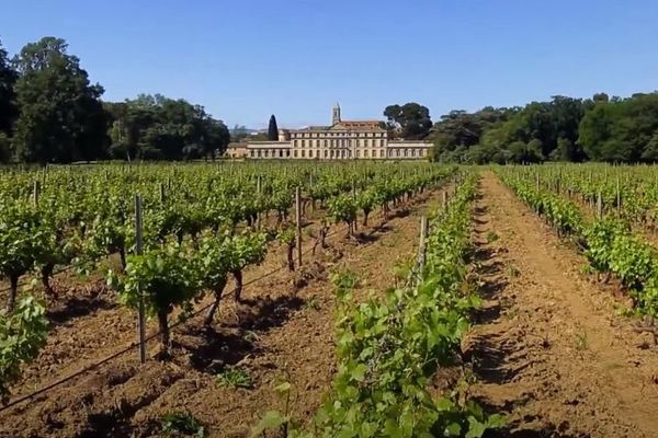 Aude - le Château de Pennautier, le "Versailles du Languedoc" et son vignoble- archives