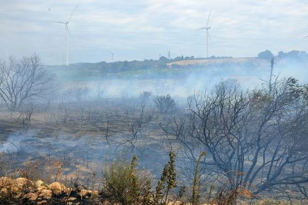 65 pompiers sont intervenus pour maîtriser ce feu de garrigue qui n'a pas fait de dégâts matériels à Pezilla, dans les Pyrénées-Orientales