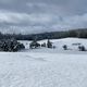 20 cm de neige sont tombés sur la commune de Bessons, au nord de la Lozère.