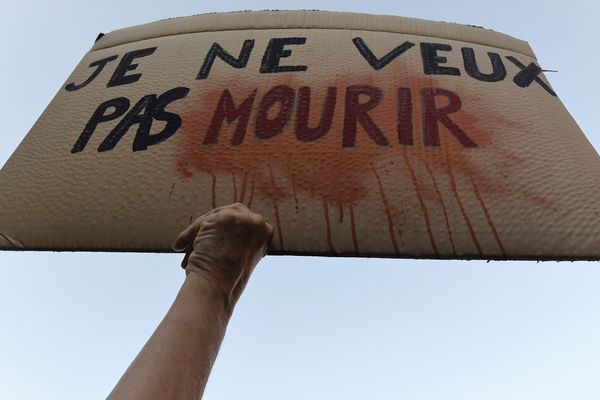 2500 personnes, selon les organisateurs, ont défilé dans les rues de Toulouse, jeudi 3 octobre 2019, pour dire "Stop au féminicides !".