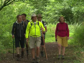 Dans un sous-bois entre Liettres et Amettes