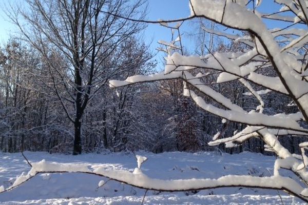 La Chapelle (08) ce matin : les promeneurs ont profité de cette première neige.