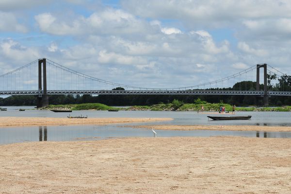 L'oiseau et les baigneurs sur la plage de la Basse Meilleraie à Varades sur la rive nord de la Loire