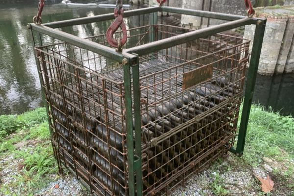 Les bouteilles ont passé 18 mois dans l'eau de la rivière Ariège.