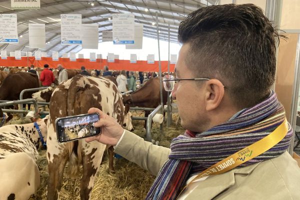 Karim et ses collègues ont pour mission de bâtir des fermes de 1000 à 2000 bovins pour mettre fin à la dépendance alimentaire de l’Irak.