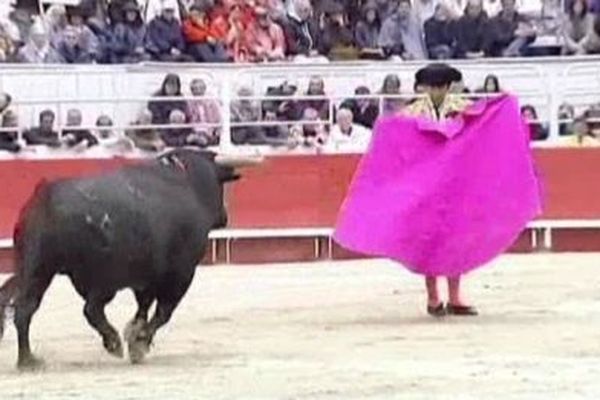 Deux militants anti-corrida condamnés à une amende avec sursis pour avoir perturbé la corrida à Arles le 9 septembre dernier