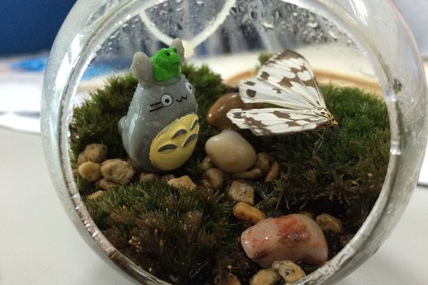 La musique des films du studio Ghibli, comme Mon Voisin Totoro, est mise à l'honneur par le consulat japonais de Strasbourg.