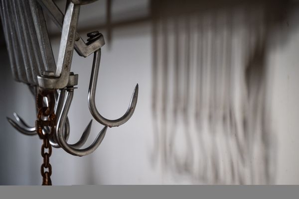 L'abattoir de la boucherie de Chalais (Charente) vient d'être fermé temporairement.