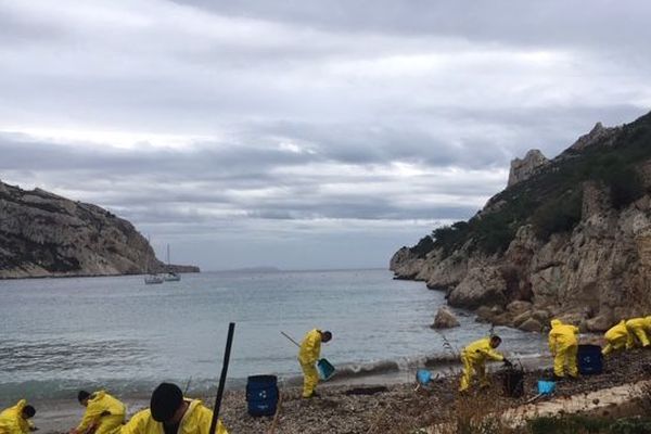 Les agents de la métropole nettoient la calanque de Sormiou.