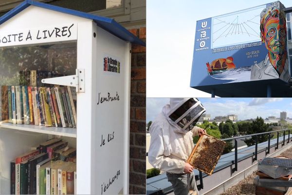 Des livres en accès libre, un cadran solaire sur la façade de la fac de Sciences humaines, des abeilles sur les toits... les habitants de Brest fourmillent d'idées pour leur ville