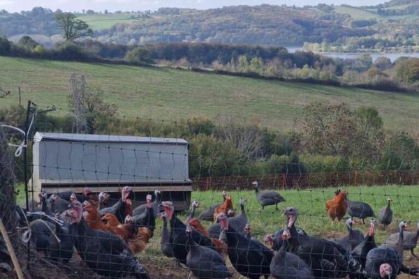 La ferme des Chênes rouges au lieu dit Figeaguet à Villefranche-de-Panat (12) est en sursis