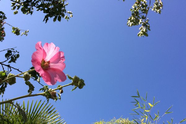 Le soleil brillera à nouveau ce début de semaine.