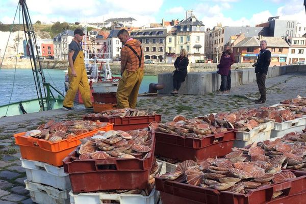 Le débarquement des coquilles saint-Jacques à Dieppe