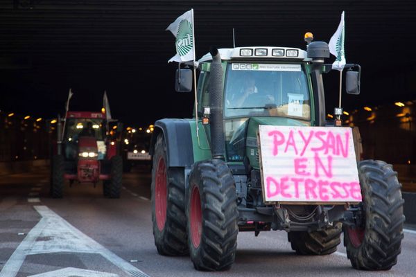 Manif d'agriculteurs à Paris. 