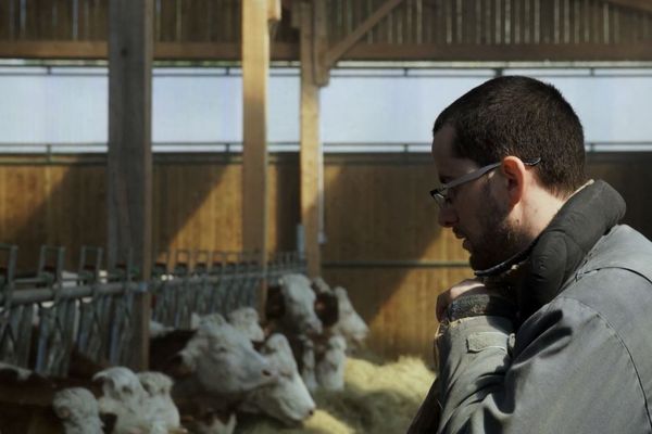 En immersion pendant plus de trois mois dans la ferme, le cinéaste montre les longues journées de travail du jeune agriculteur dans son exploitation du Puy-de-Dôme. 
