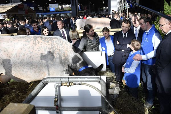 Emmanuel Macron, Président de la République, au salon de l'agriculture 2019.