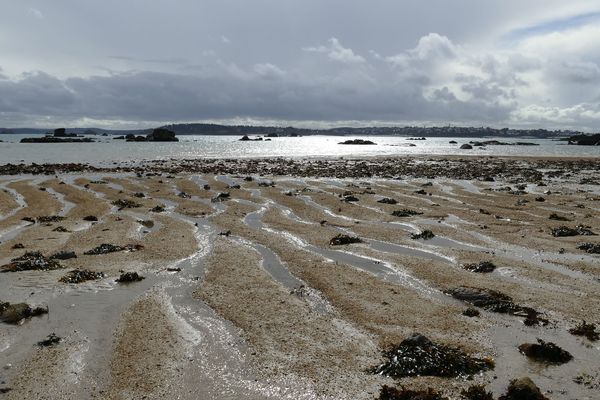 L'estran, royaume des pêcheurs à pied