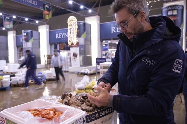 Stéphane Reynaud ouvre quelques huîtres pour les faire goûter à ses clients