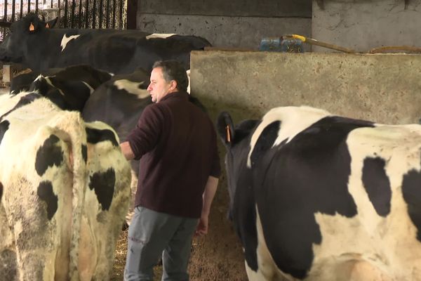 Eric Mazin compte 40 vaches sur son exploitation de La Bastide Clairence